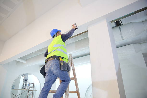 Professional Mold Removal in Geneva, AL